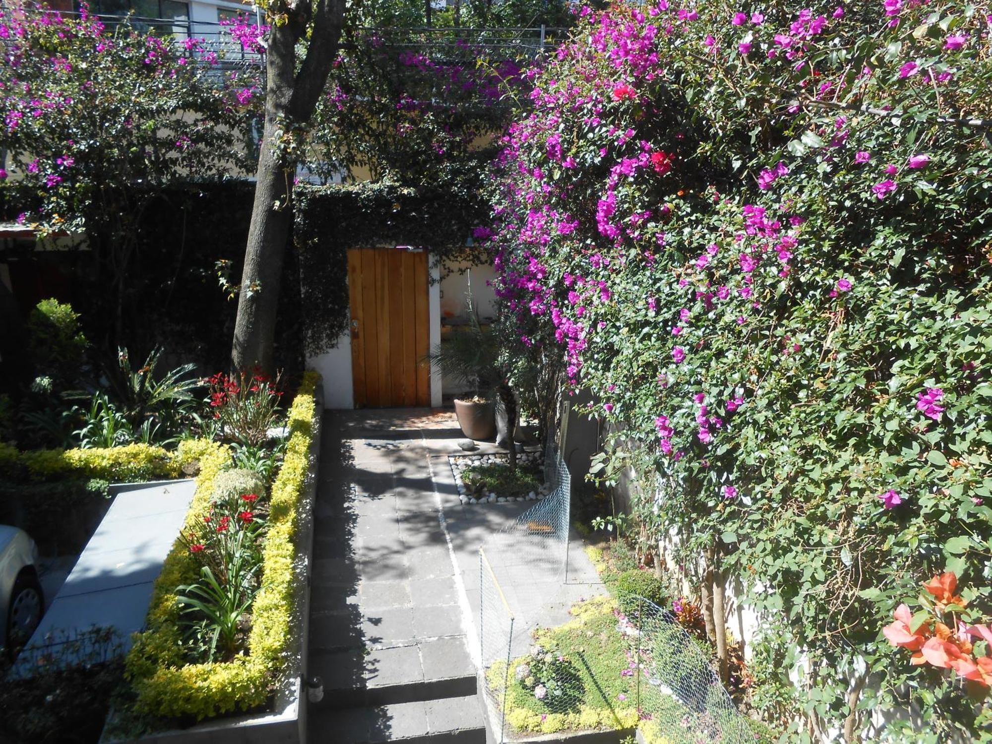 דירות מקסיקו סיטי Terraza & Loft San Angel מראה חיצוני תמונה