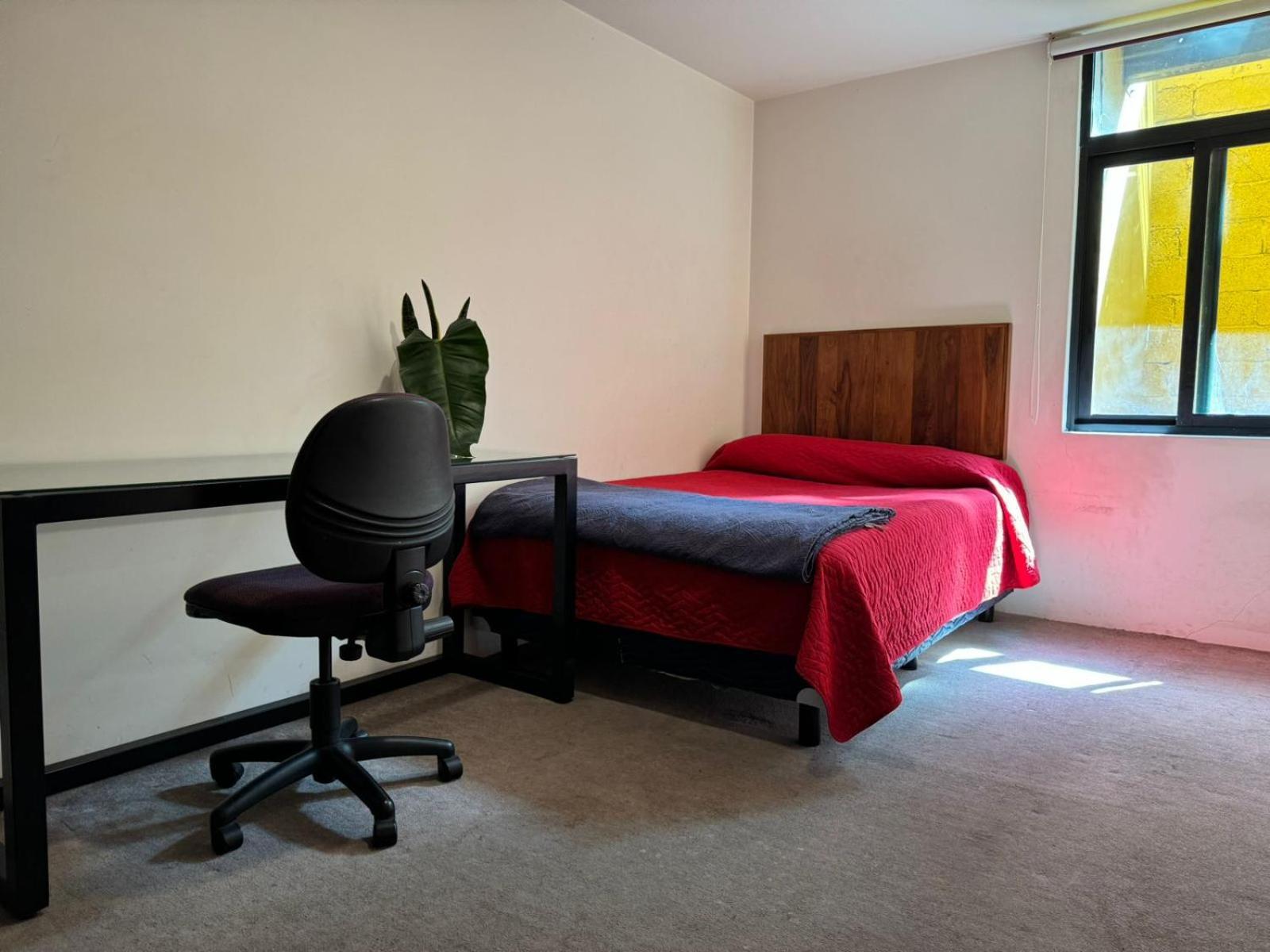 דירות מקסיקו סיטי Terraza & Loft San Angel מראה חיצוני תמונה