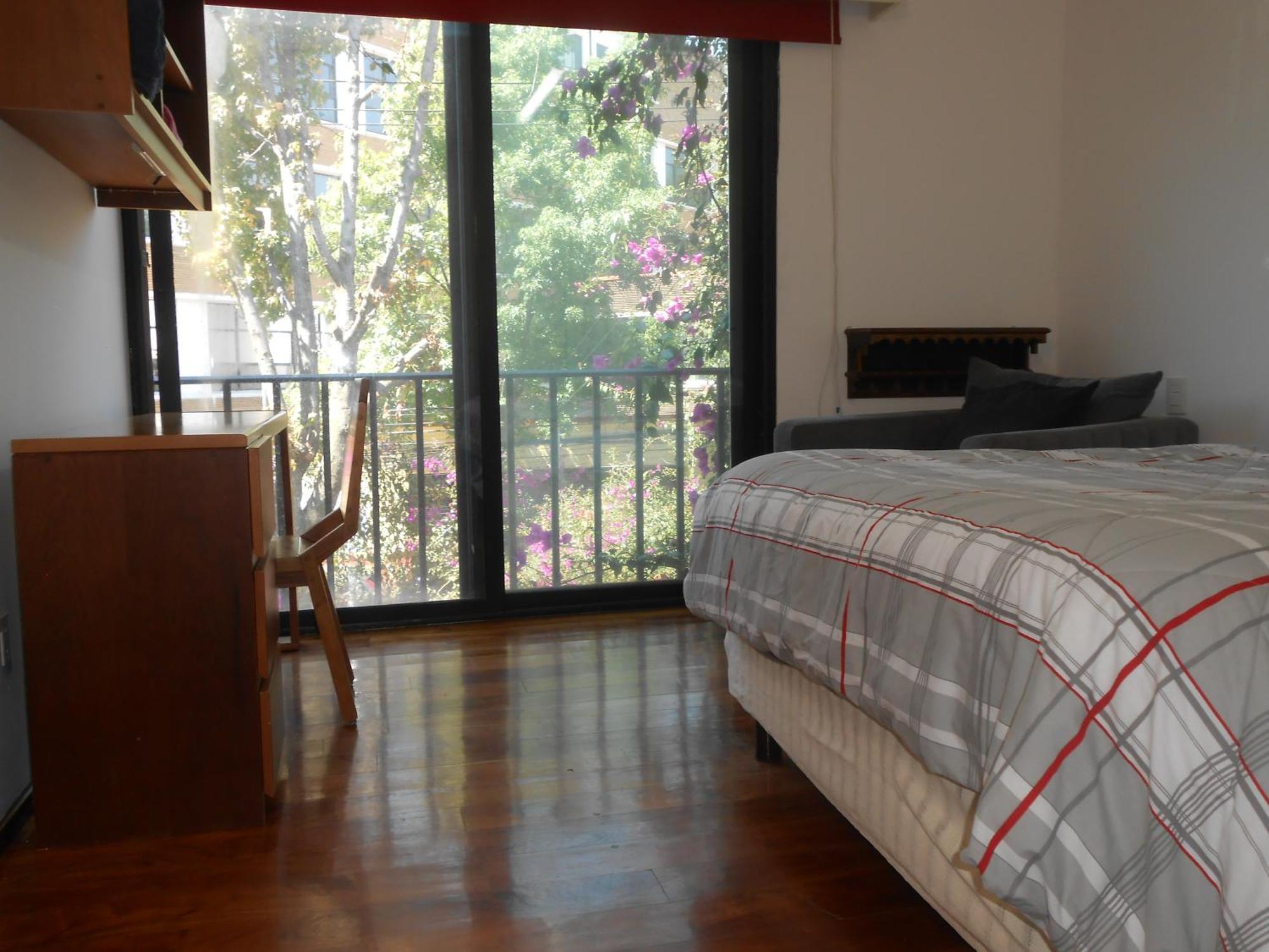 דירות מקסיקו סיטי Terraza & Loft San Angel מראה חיצוני תמונה