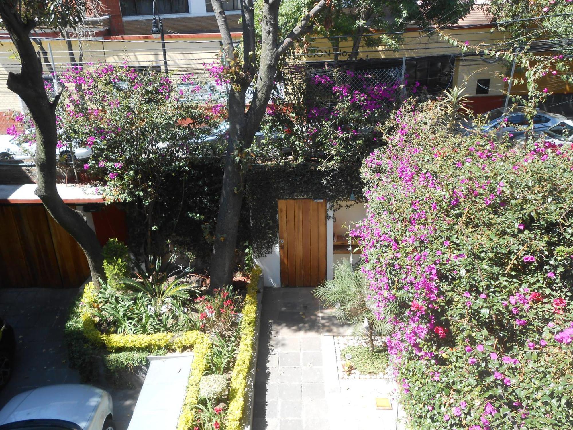 דירות מקסיקו סיטי Terraza & Loft San Angel מראה חיצוני תמונה