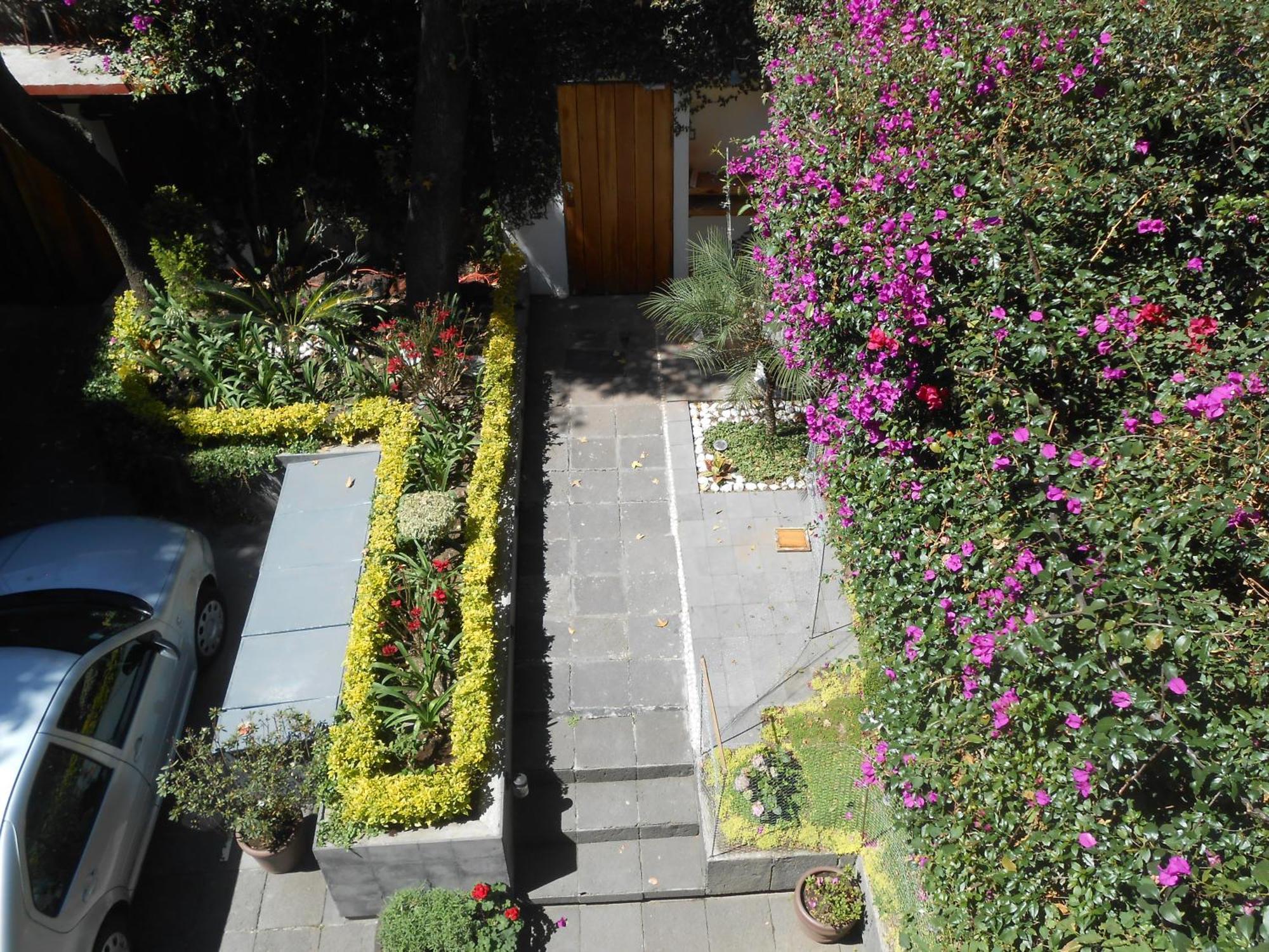 דירות מקסיקו סיטי Terraza & Loft San Angel מראה חיצוני תמונה