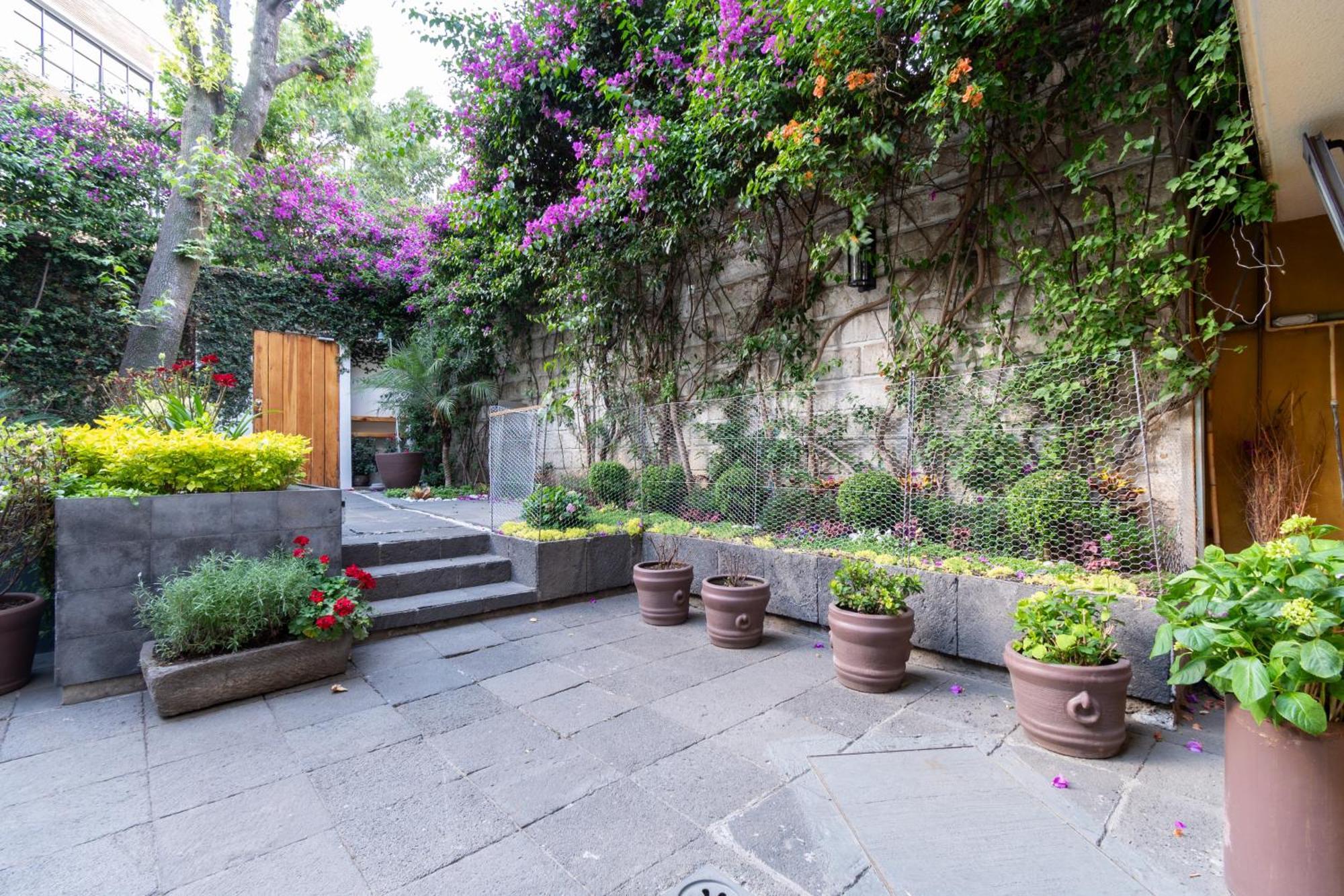 דירות מקסיקו סיטי Terraza & Loft San Angel מראה חיצוני תמונה