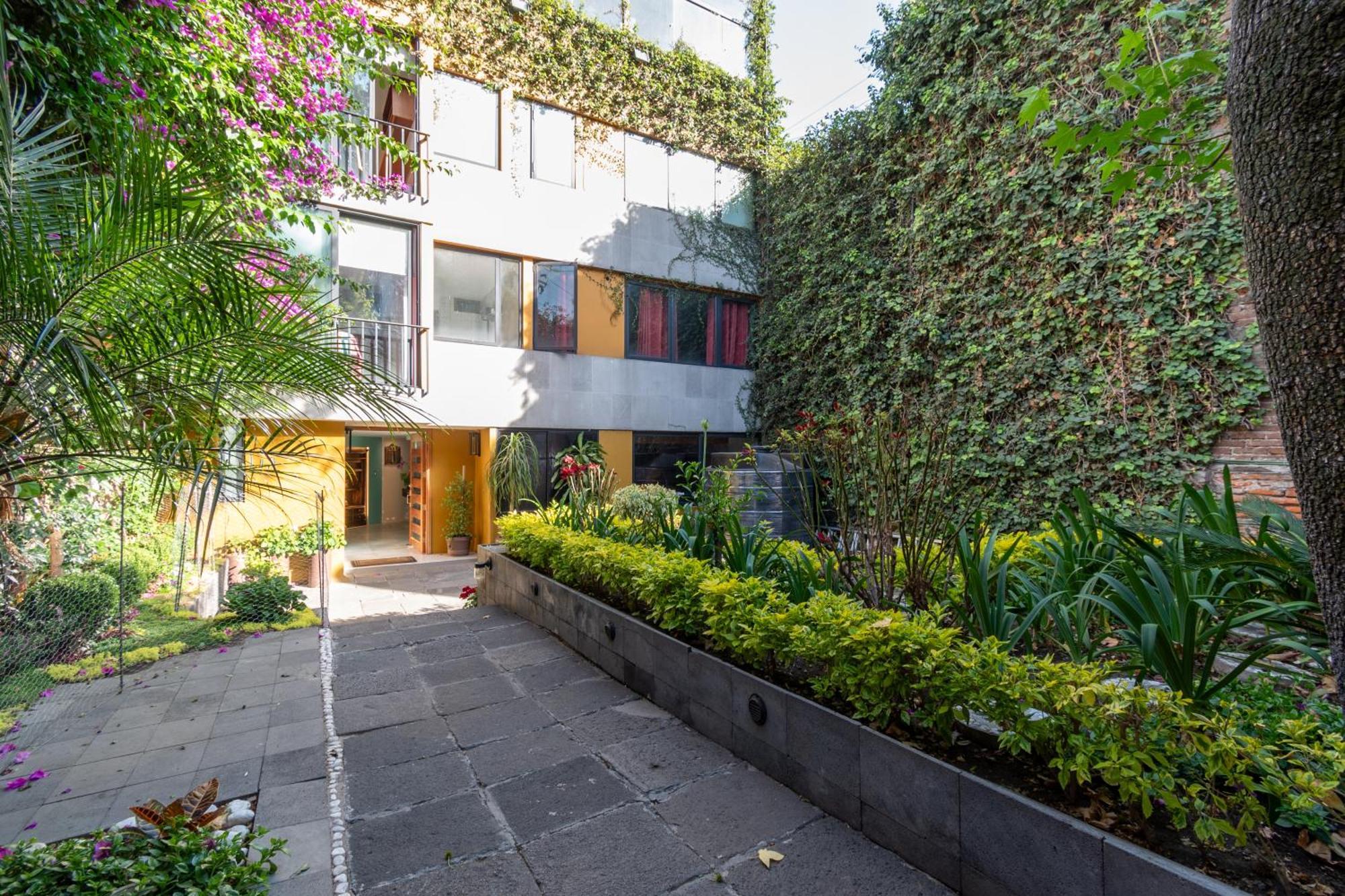 דירות מקסיקו סיטי Terraza & Loft San Angel מראה חיצוני תמונה