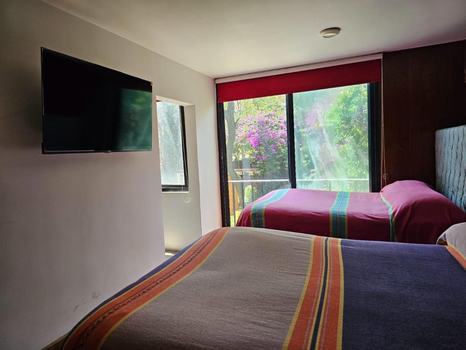 דירות מקסיקו סיטי Terraza & Loft San Angel מראה חיצוני תמונה